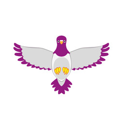 pigeon, vector illustration
