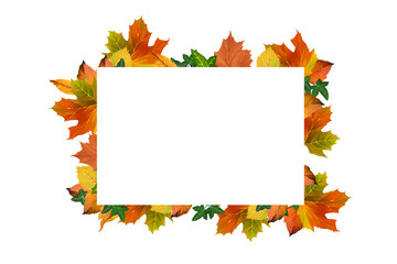 Naklejka na ściany i meble Bright drawn autumn frame. Golden autumn clip art on white background