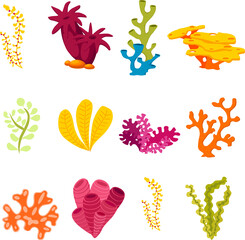 seaweed set vector illustration isolated on white background, cartoon style