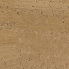 Natural cork material texture for background