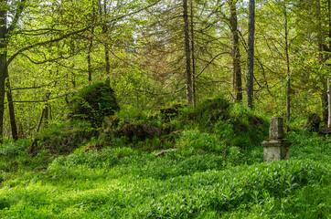 Cerkwisko w miejscowości Caryńskie - Bieszczady 