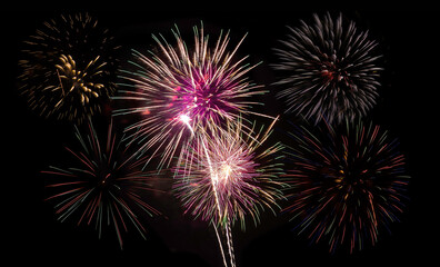 Fireworks exploding in night sky