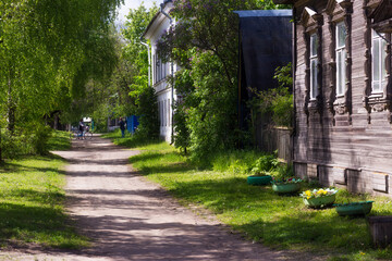 Village street in summer, overgrown with grass and flowers