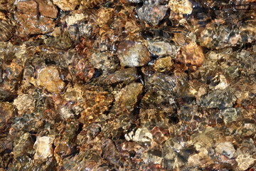 Water flowing on the stones in sunny day. Mountain stream texture for background