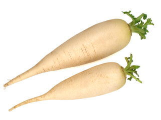 Two fresh daikon radishes isolated on a white background