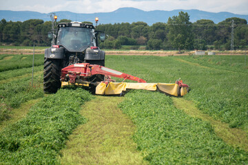 Agricultura moderna. Cortando alfalfa