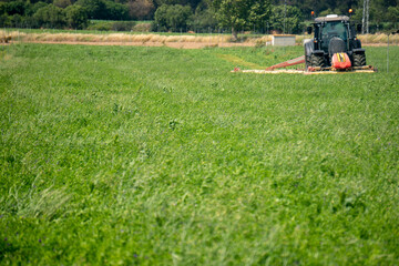 Agricultura moderna. Cortando alfalfa