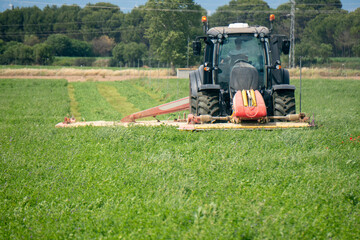 Agricultura moderna. Cortando alfalfa