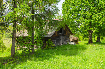 stary dom  © wedrownik52