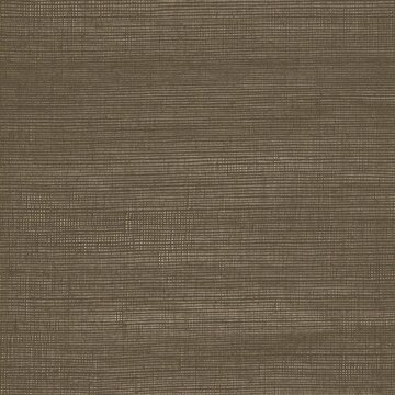 Woven grasscloth wallpaper texture with gold shimmer