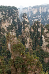 Fototapeta na wymiar Karst mountains widen out of the jungle in zhangjiajie