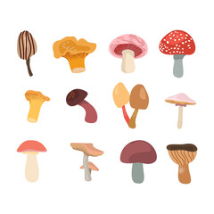 mushroom vector set on isolated white background
