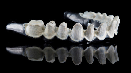 upper jaw titanium beam for dental crowns, side view shot on black background