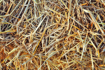pile of dry straw grass texture background