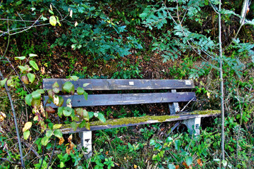 Verwitterte Bank im Wald.