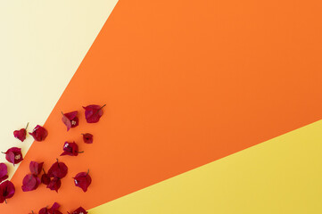 Yellow, orange and light background with red flowers coming out of a corner. Backgrounds, textures.