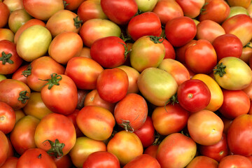 fresh tomato from farm for raw material in the kitchen