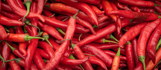 fresh red chili from farm for ingredients in the kitchen