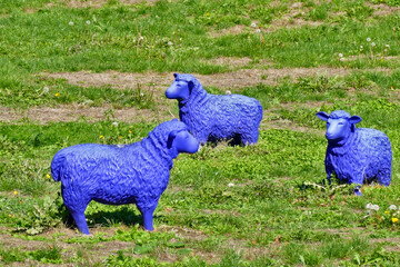 Drei blaue Schafsfiguren auf einer Wiese.
