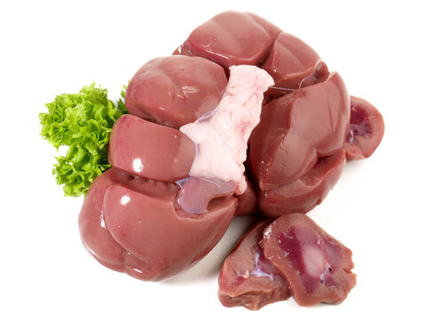 Fresh Veal Kidney on white Background