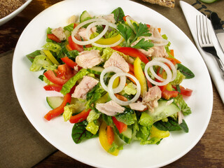 Colorful mixed Salad with white Tuna and Onions