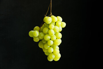 Fresh branch of green grapes on a black background.
