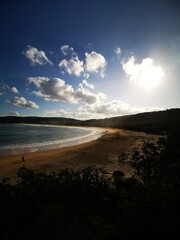 Putty Beach, Bouddi Coastal Walk, Bouddi National Park, Killcare Heights, NSW, Australia