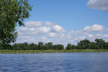 lake in the forest