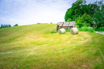 Gemähte Wiese mit Rundballen bei Mitterfels im Bayerischen Wald