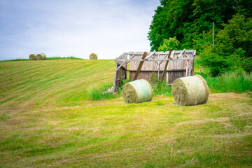 Gemähte Wiese mit Rundballen bei Mitterfels im Bayerischen Wald