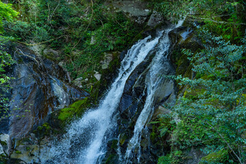 Fototapeta na wymiar Water fall is in mountain in summer.