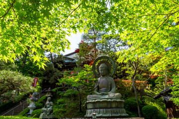 Yoshimi Kannon Temple in tender green.