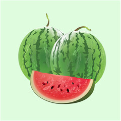 illustration design graphic of watermelon green stripe watermelon and red slice vector isolated