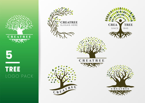 Green Tree and roots logo design vector isolated on grey background, Vector illustration silhouette of a tree with round shape.