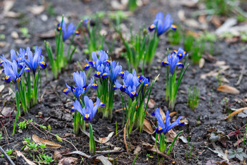 
Amazing gorges in a clearing.