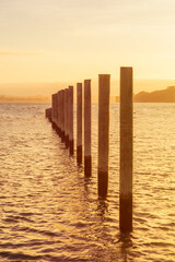 Fototapeta premium Golden hour over Gulf Harbour marine. Mooring poles lined up towards horizon