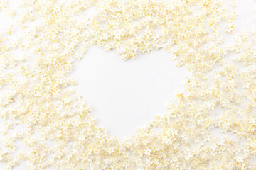 Holunderblüten auf weissem Hintergrund