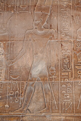 Hieroglyphic carvings on an ancient egyptian temple wall