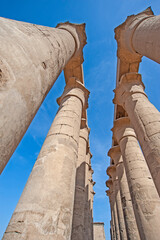 Hieroglyphic carvings on ancient egyptian temple columns