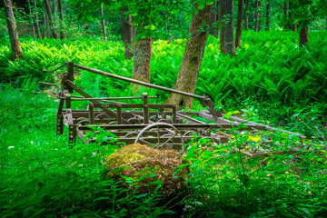 Alte benutzte und rostige Egge am Rand einer Waldlichtung im bayerischen Wald