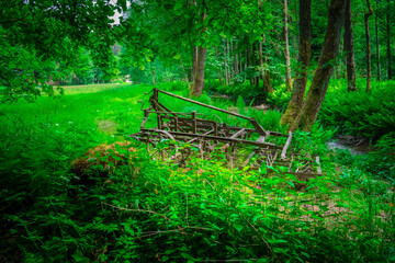 Alte benutzte und rostige Egge am Rand einer Waldlichtung im bayerischen Wald