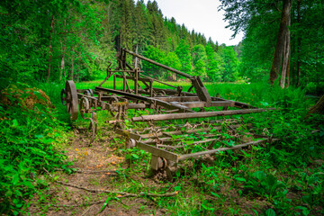 Alte benutzte und rostige Egge am Rand einer Waldlichtung im bayerischen Wald