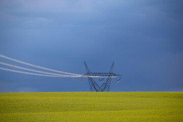 One pylon of an electrical transmission line stands in an agricultural field of yellow flowers under a dark and ominous sky.