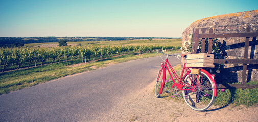 Bord de route à travers les vignes en Anjou, France.