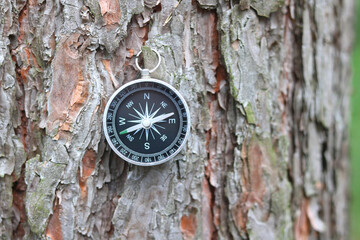 round compass on natural background as symbol of tourism, travel and outdoor activities