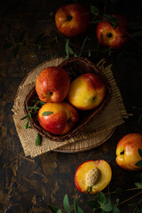 Beautiful juicy nectarines. Ripe farm harvest. Fragrant fruits. Fresh Juicy Organic Nectarines