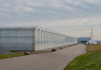 Gew&auml;chshaus zur Anzucht von Gem&uuml;se wie Tomaten und Paprika
