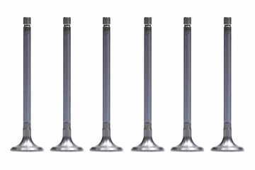 Six of intake engine valves isolated on white background.  photo of the Valve of the engine metal...