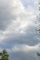 Dramatic sky with clouds before a thunderstorm and tree branches