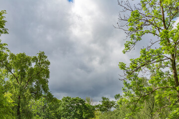 Dramatic sky with clouds before a thunderstorm and tree branches